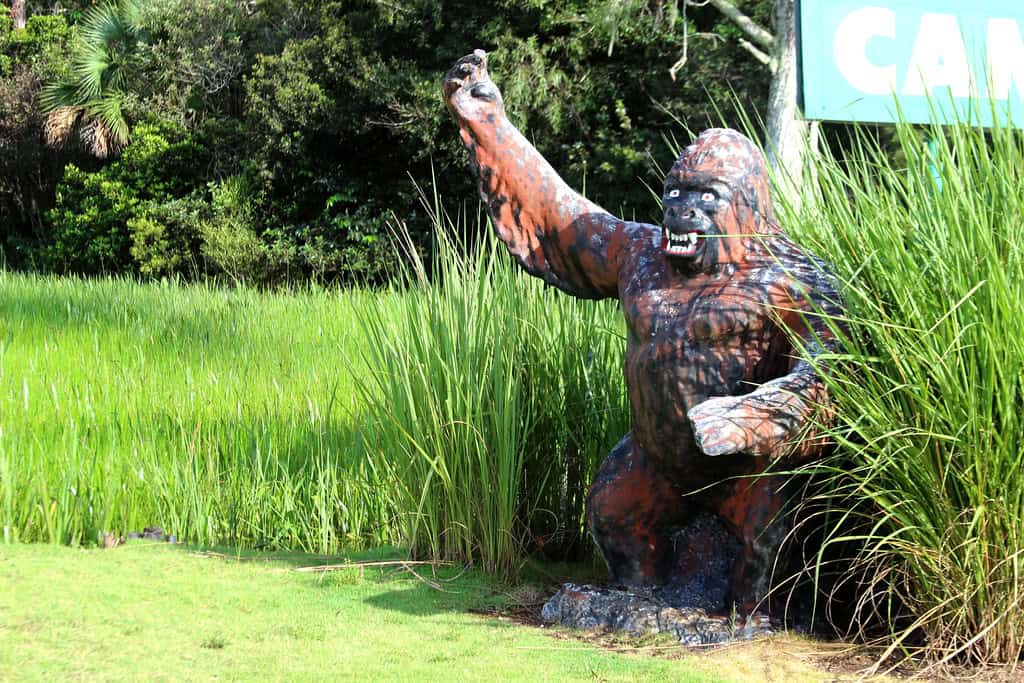 Skunk Ape
