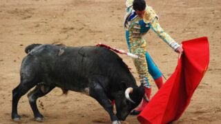 Bullfighting