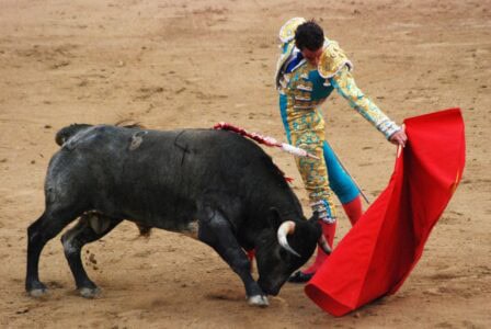 Why Bullfighting Still Exists&mdash;and the Growing Backlash