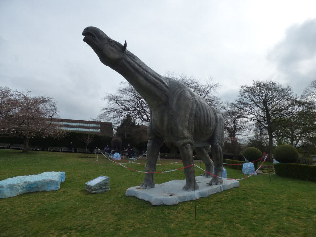 Paraceratherium
