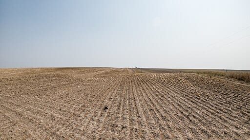 Barren wheatfield, Malta, Montana