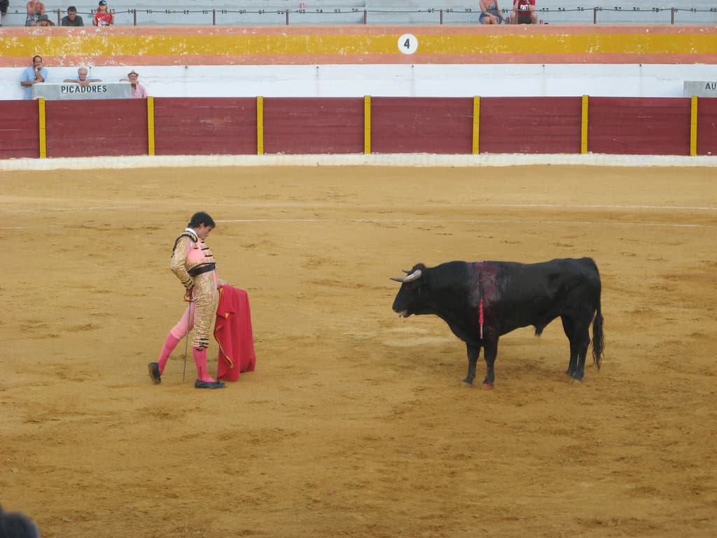 Bullfighting. Image by Openverse.