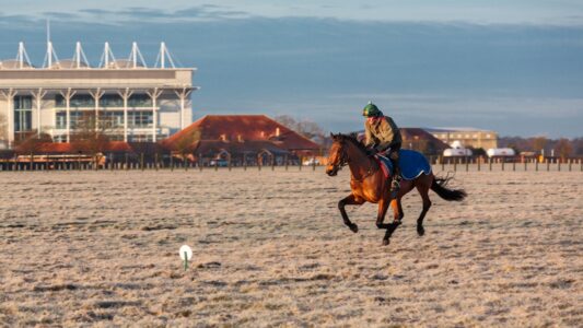 What Makes a Racehorse Fast?