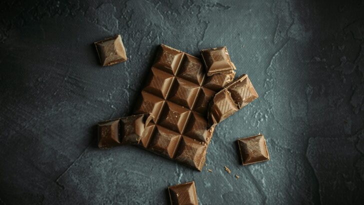 The Wildlife Cost of Your Chocolate Bar—and How to Make Ethical Choices