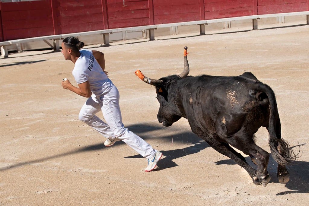 Bullfighting
