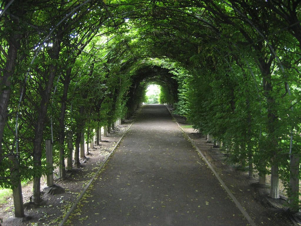 Staten Island