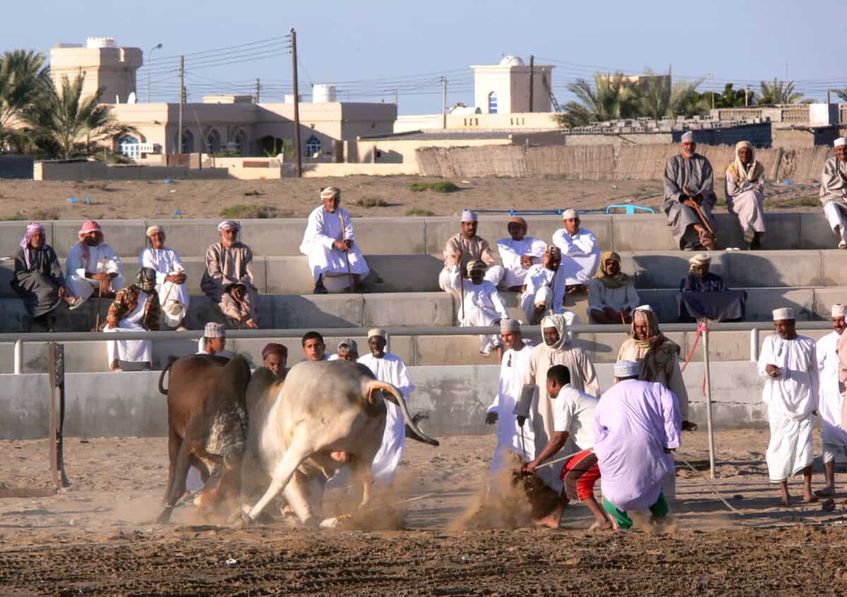 Bullfighting. Image by Openverse.