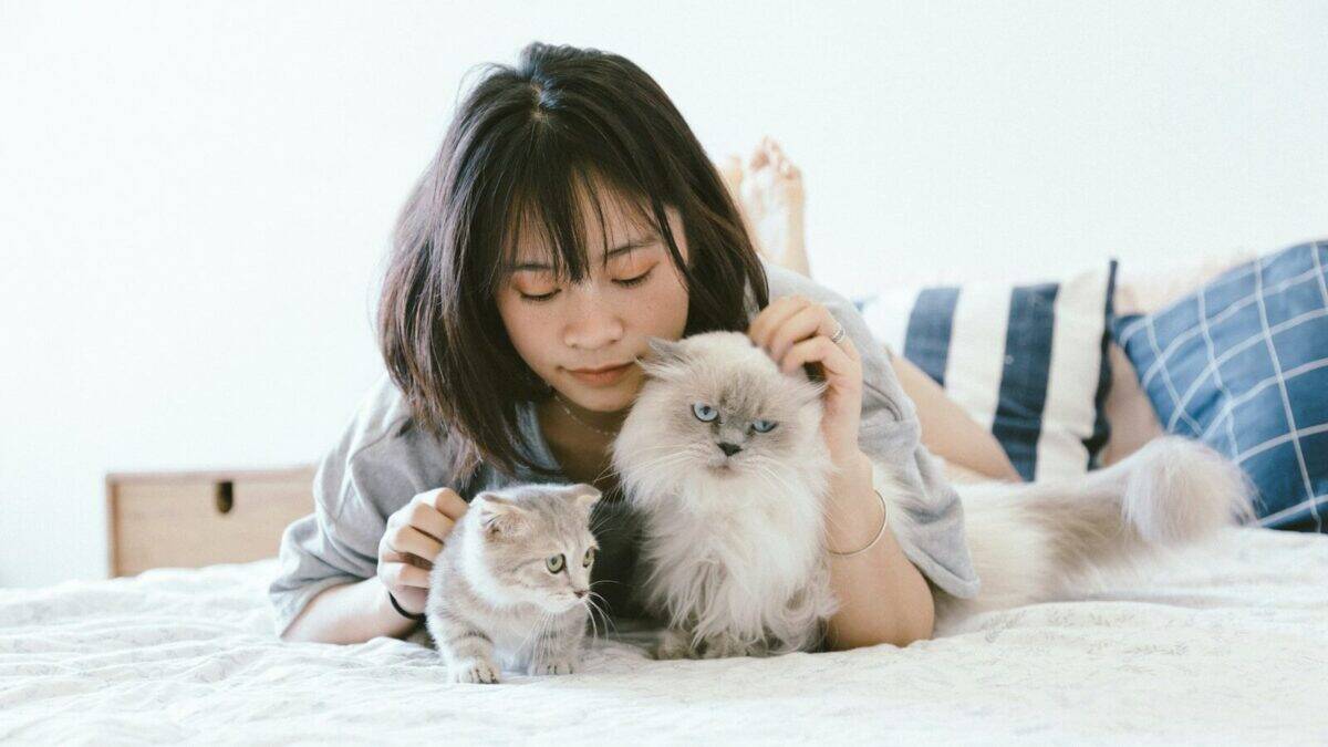 woman lying beside two kittens
