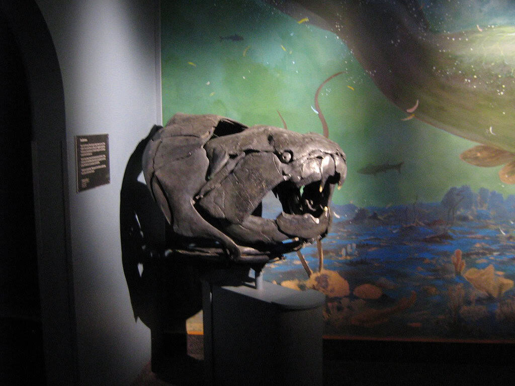 Dunkleosteus