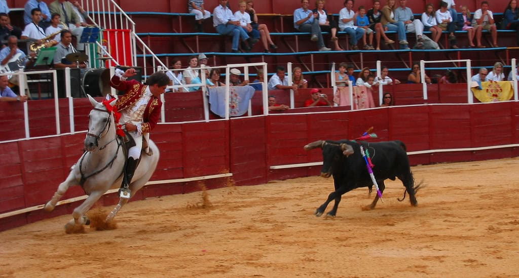 Bullfighting. Image by Openverse.