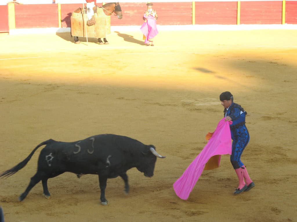 Bullfighting. Image by Openverse.