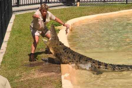 How Steve Irwin Turned Crocodile Conservation Global