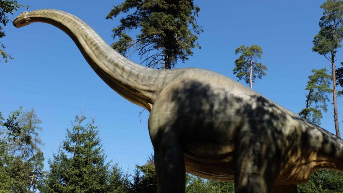 Brachiosaurus