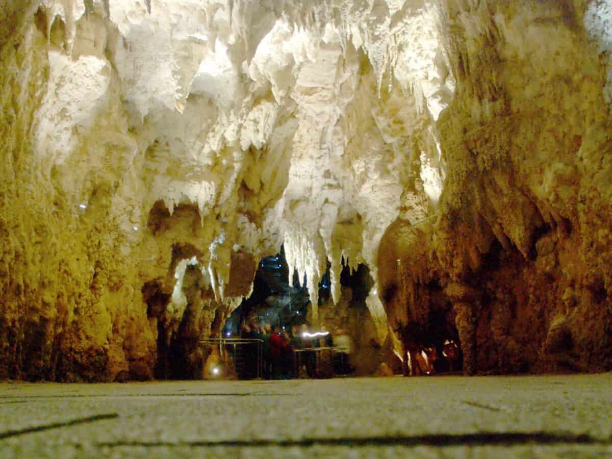 Waitomo Glowworm Cave