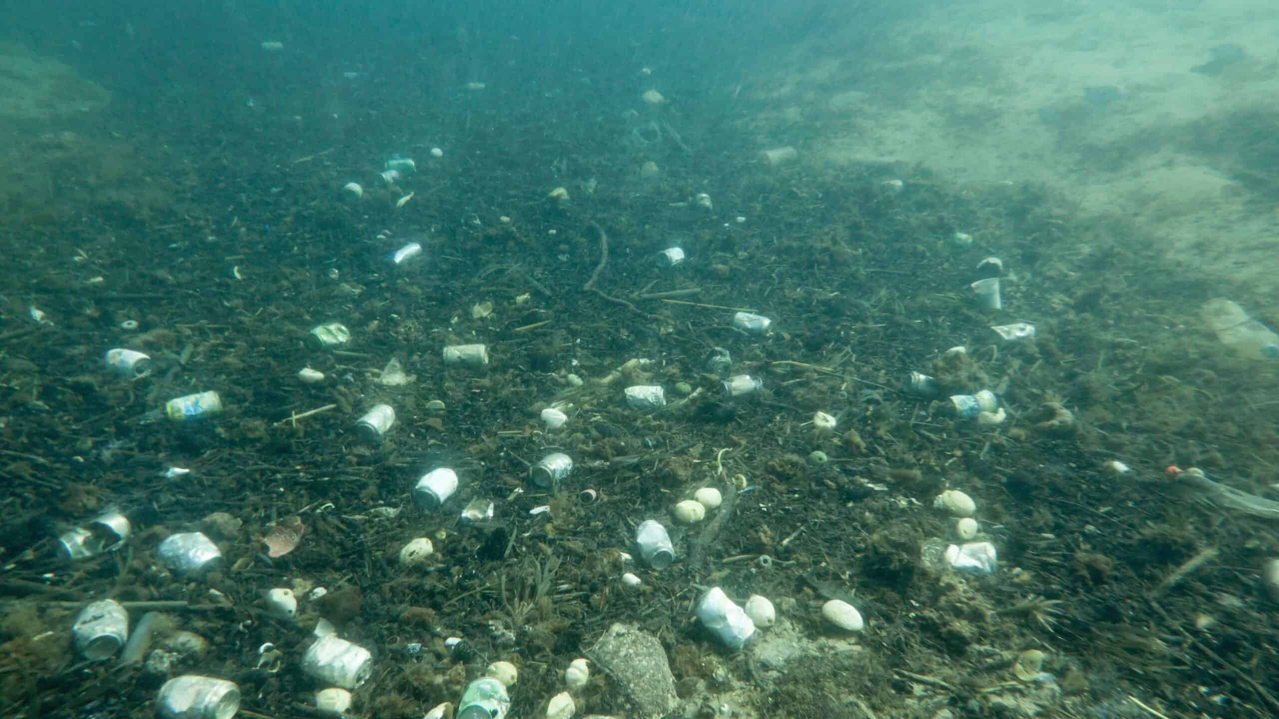 Piled waste underwater.