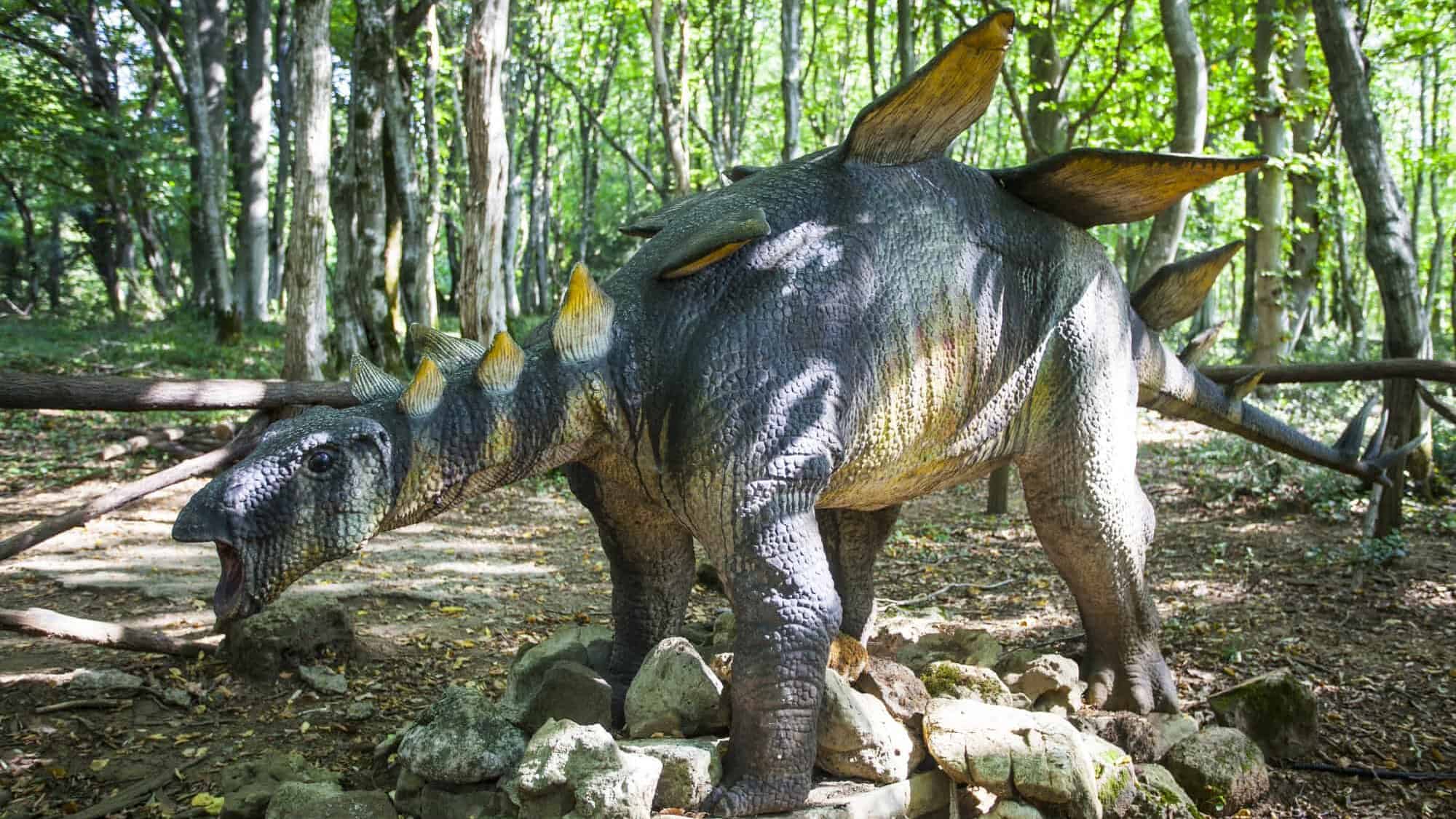 stegosaurus
