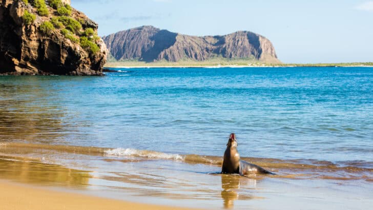 Geological Marvels That Are Also Wildlife Hotspots