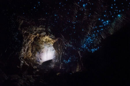 This Cave System Hosts Glowworms That Look Like Stars