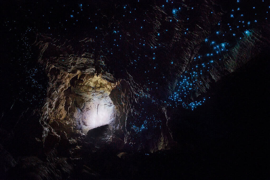 Waitomo Glowworm Cave