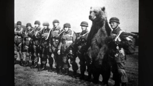 Wojtek the WWII Soldier Bear