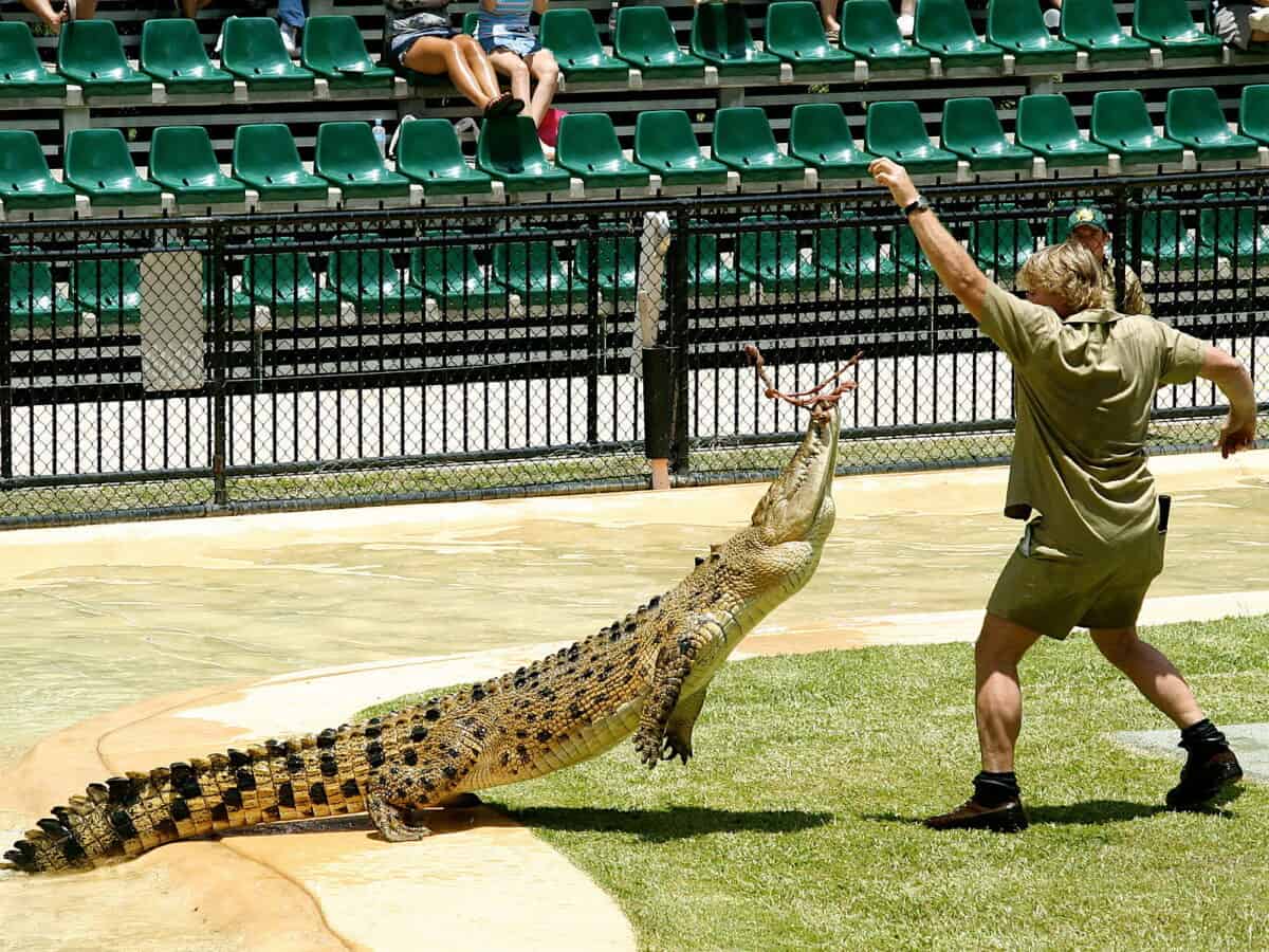 Steve Irwin with crocodile