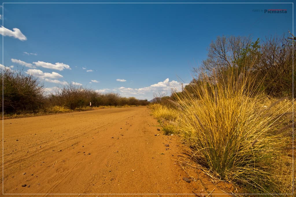 South African landscape
