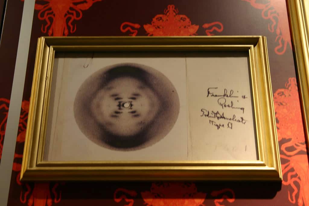 Rosalind Franklin