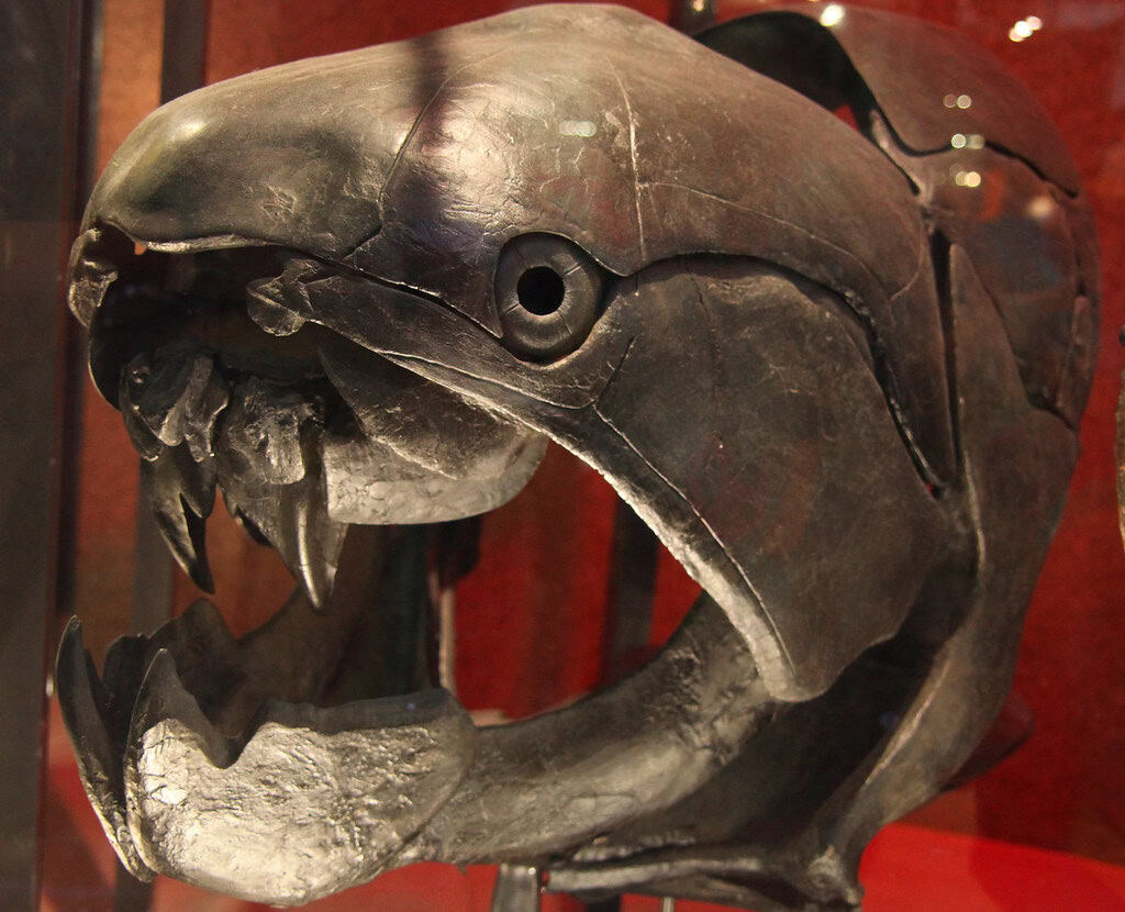 Dunkleosteus