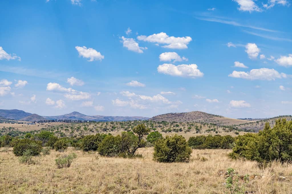 African landscape