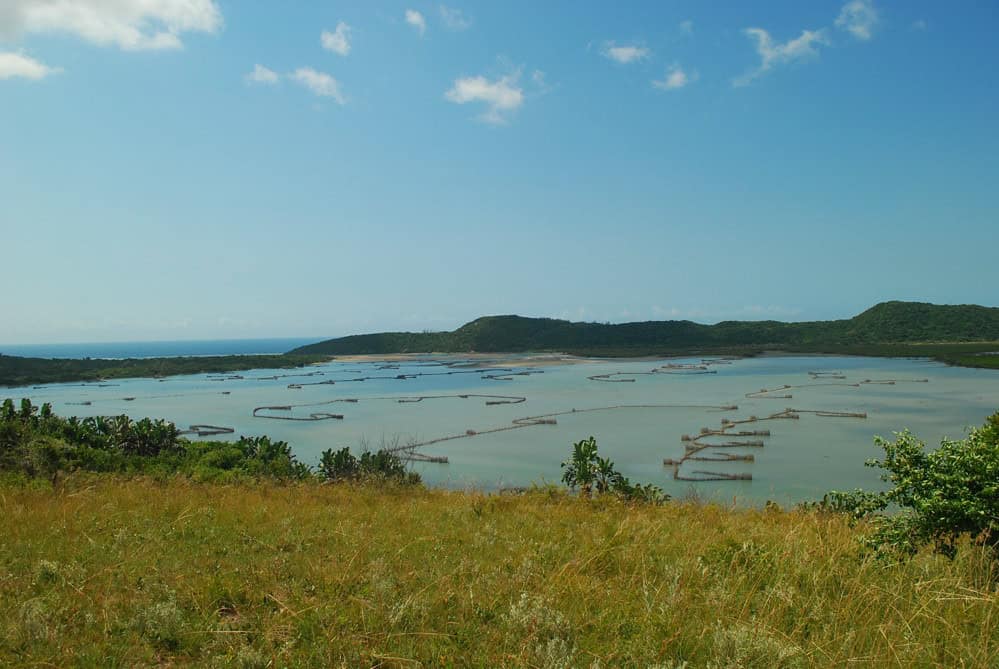 Kosi Bay, South Africa