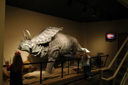 The Most Inaccurate Dinosaur Myths Jurassic Park Made Famous