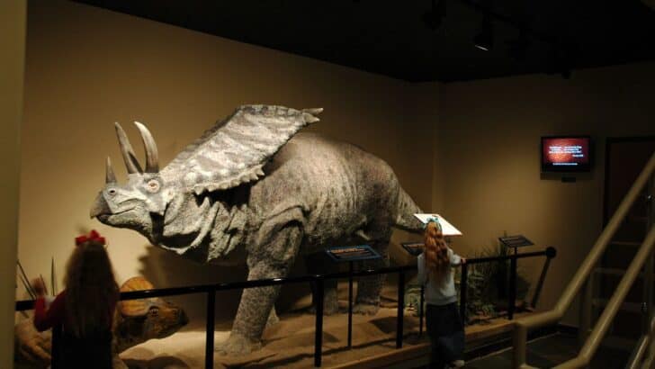 The Most Inaccurate Dinosaur Myths Jurassic Park Made Famous