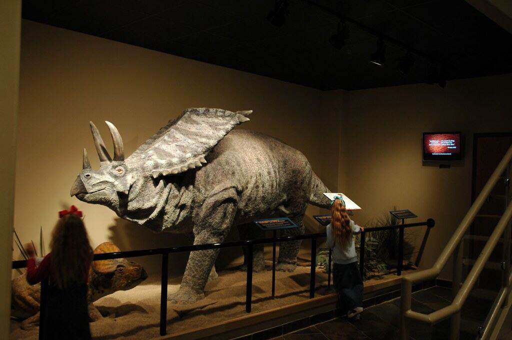 Triceratop