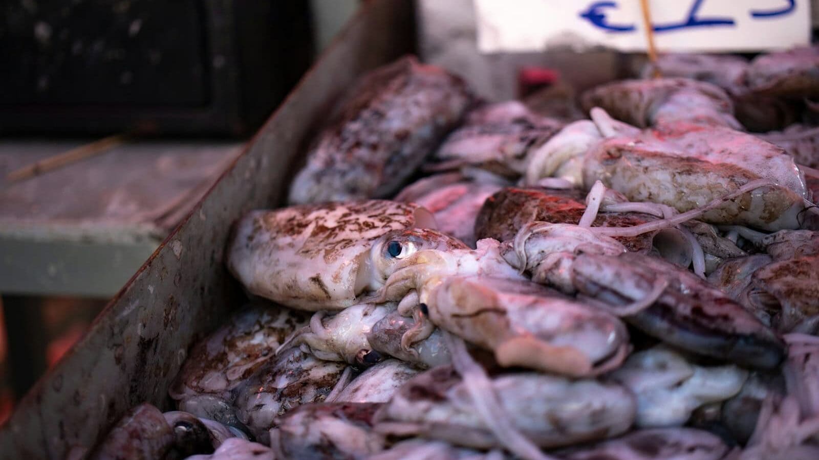 a box filled with lots of cut up fish