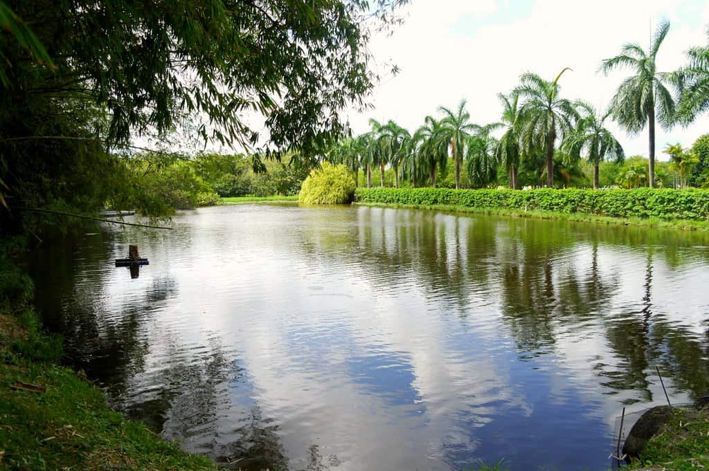 Recife, Brazil