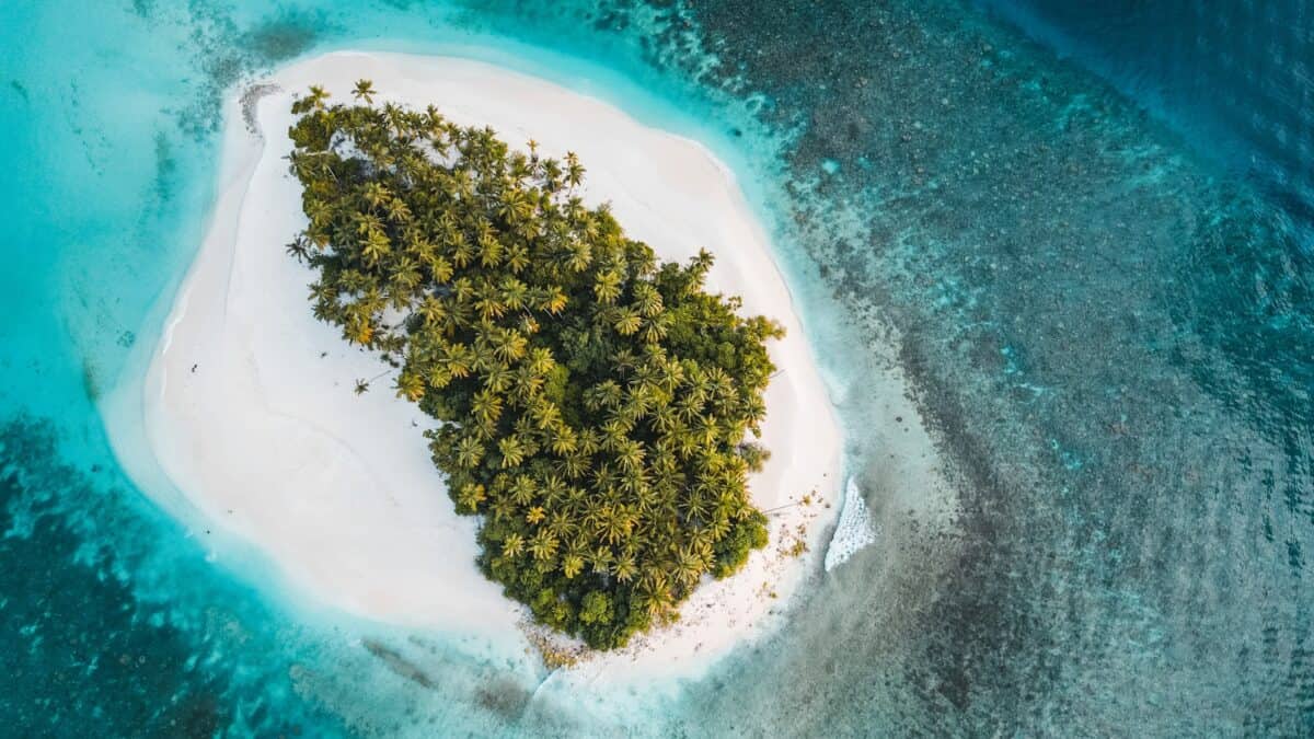 a small island with trees