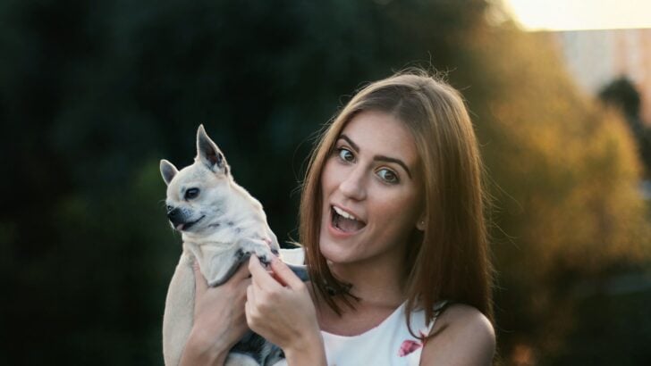 Why Your Dog Stares at You—and What It Really Means