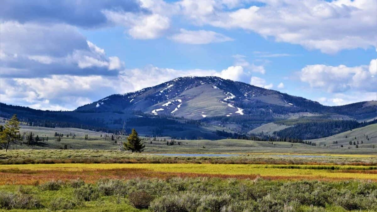 Yellowstone National Park