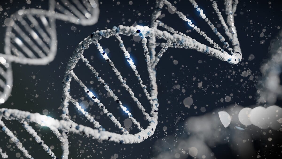 The Science of Extreme Longevity in Reptile