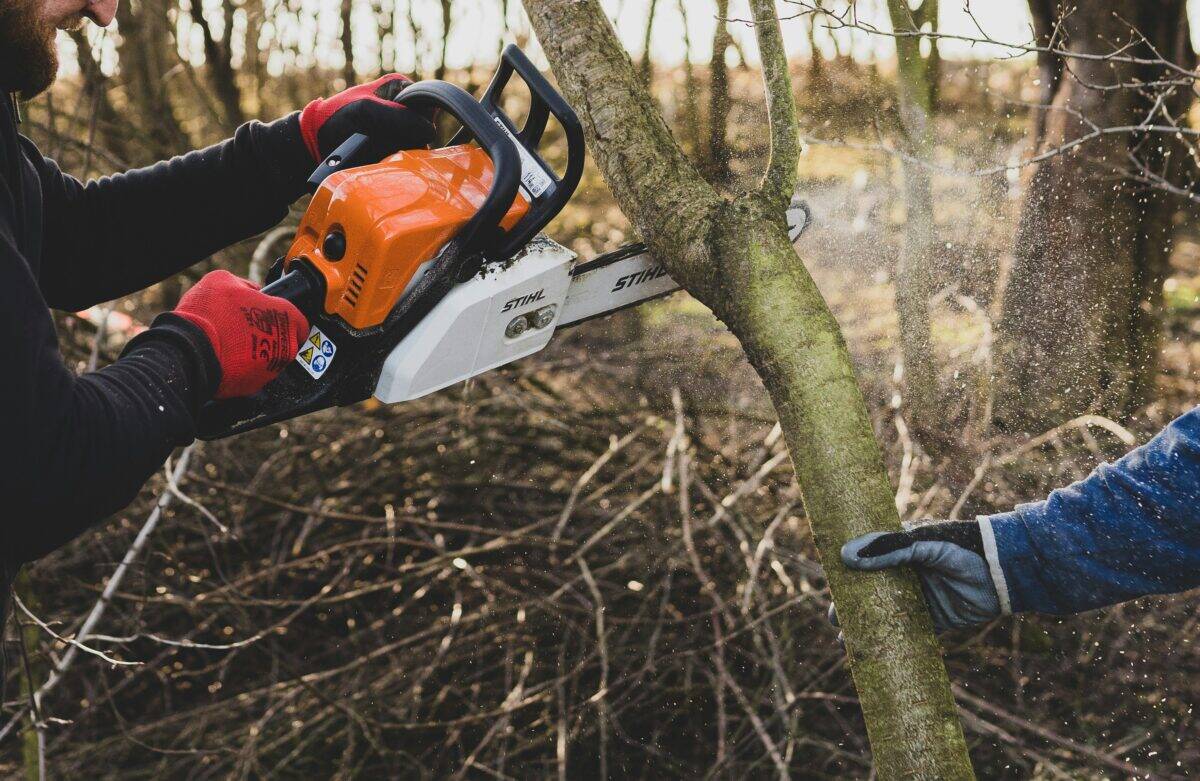 A tree being cut using an electric saw.