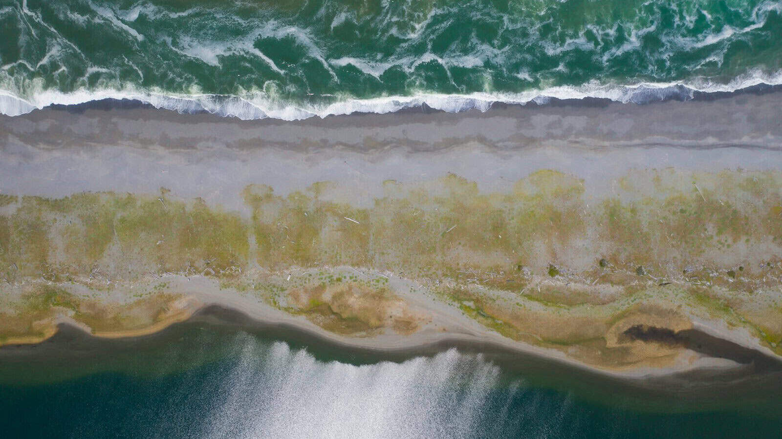 aerial photo of seashore