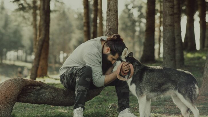 Emotional Support Animals: Where Policy Meets Compassion