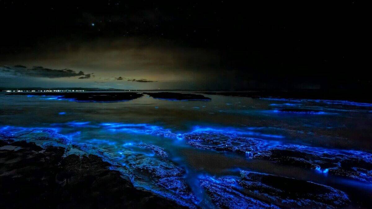 body of water during night time