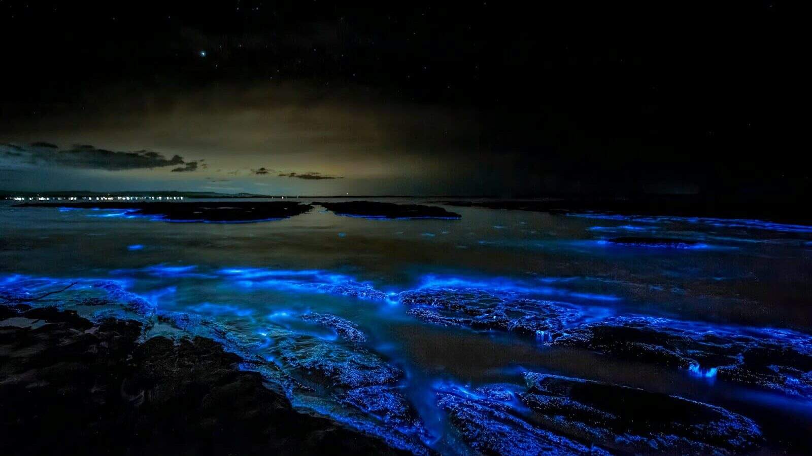 body of water during night time