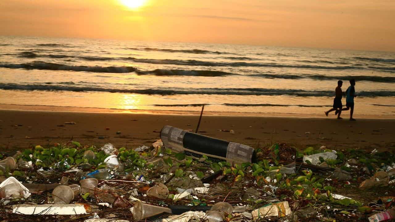 plastic pollution