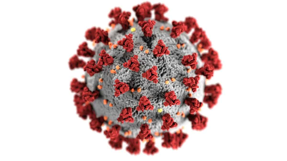 A typical appearance of a virus in a microscopic perspective.