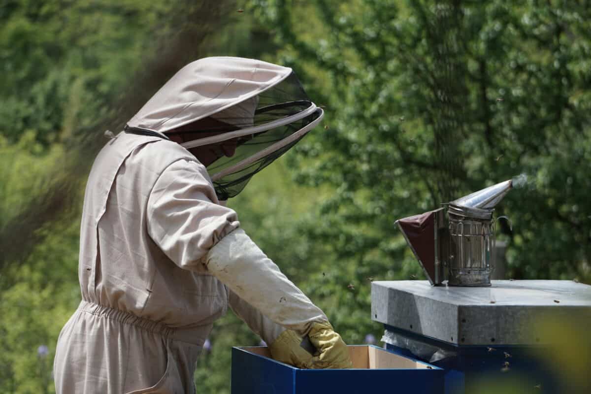 A person fully covered with bee protection gear.