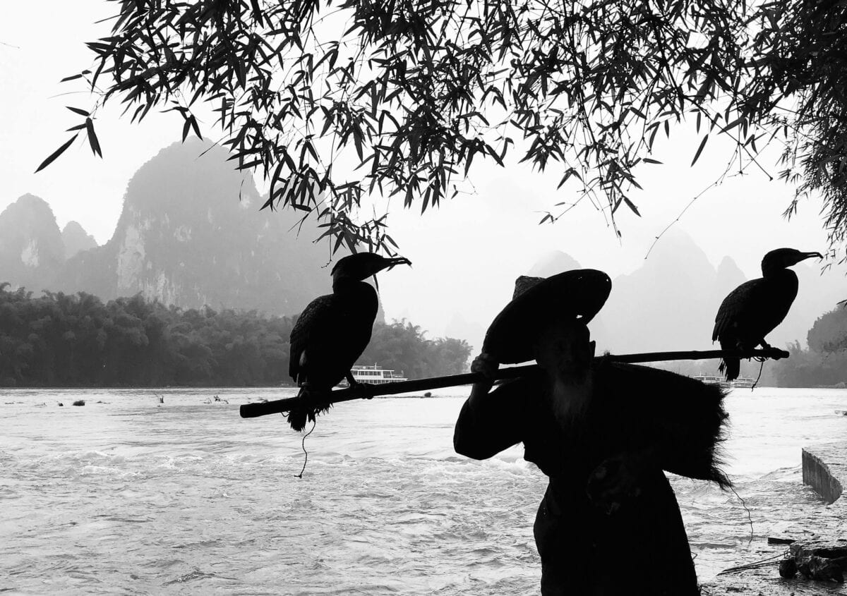 A silhouette of a man with two birds on a stick.