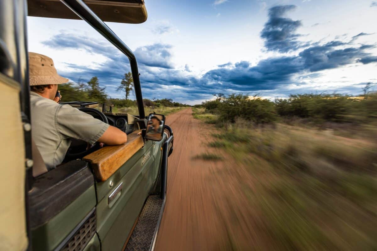 A ranger patrolling a forest.