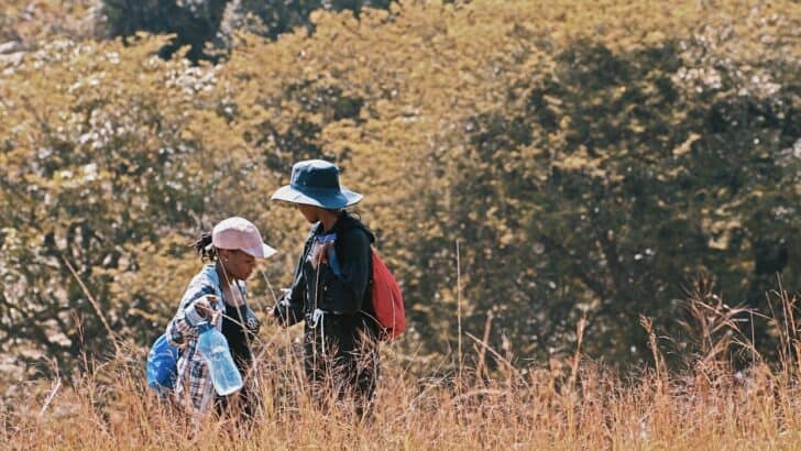 The Role of Citizen Scientists in American Wildlife Monitoring